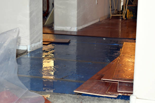 Professional Emergency Water Damage Restoration technician working in Hartford, IL
